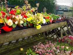 chinley1