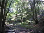 U3A geology lyme park