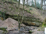 U3A geology - lyme park