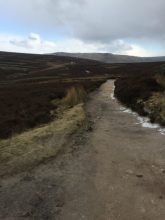 walk1