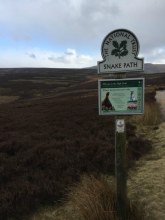 walk3