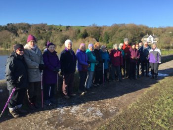 todbrook